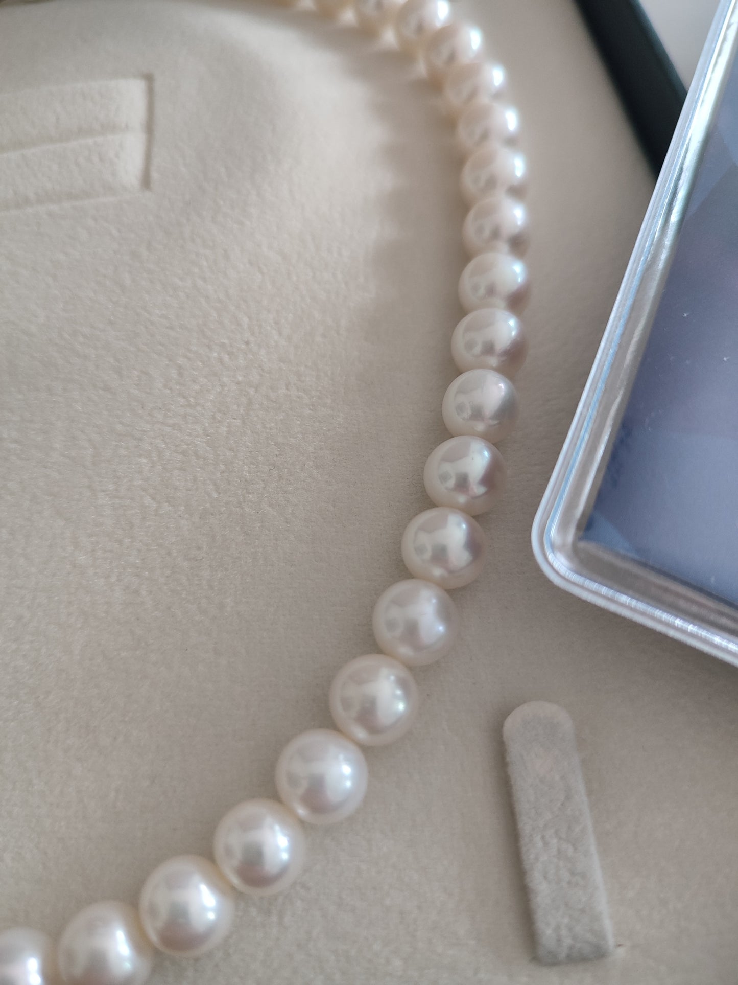 14K Altın İnci Kolye 8mm Hermias